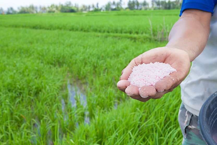 Fertiliser shortages are starting to have wider-ranging impacts